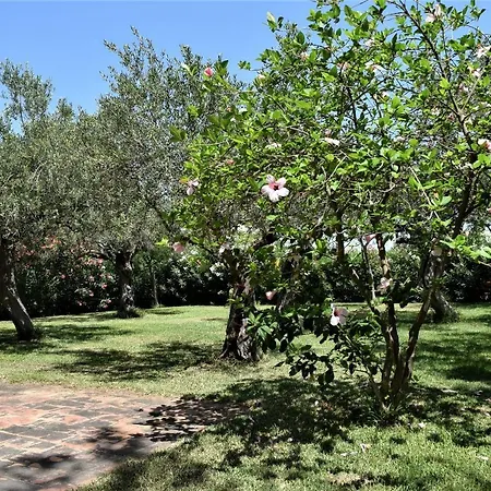 Apartament Casevacanze Le Muse
